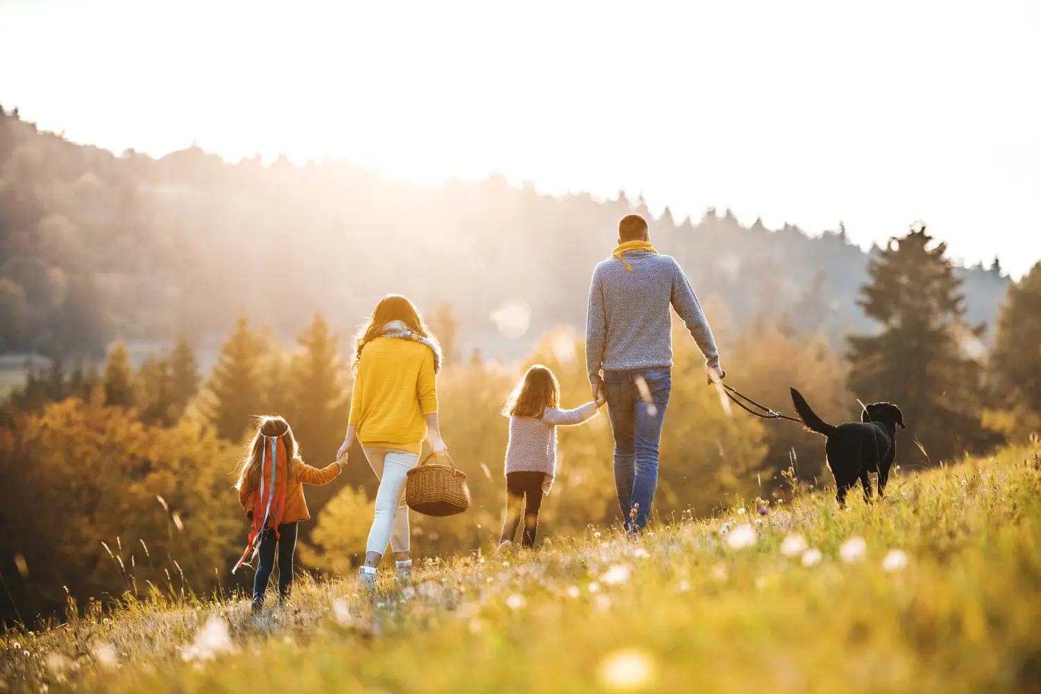 Eine Rückansicht einer Familie mit zwei kleinen Kindern und einem Hund bei einem Spaziergang in der herbstlichen Natur.